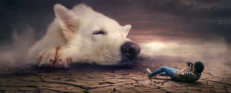 Whimsical Fairytale Scenes